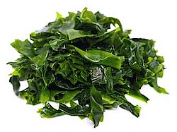 Jodtang Jodtang