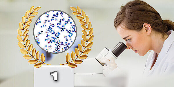 Mikroskopische Aufnahme der Hefe, die zur Mikrobe des Jahres ausgezeichnet wurde.