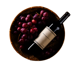 Wein und Trauben Wein und Trauben