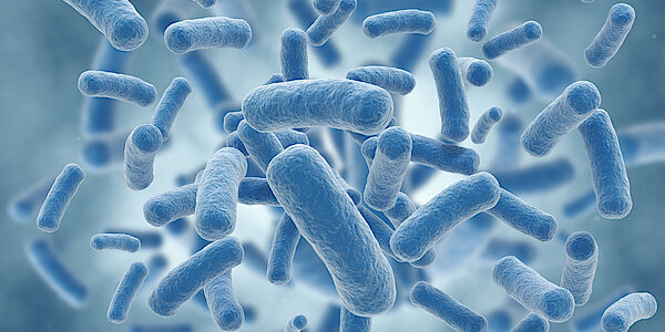 Bakterien