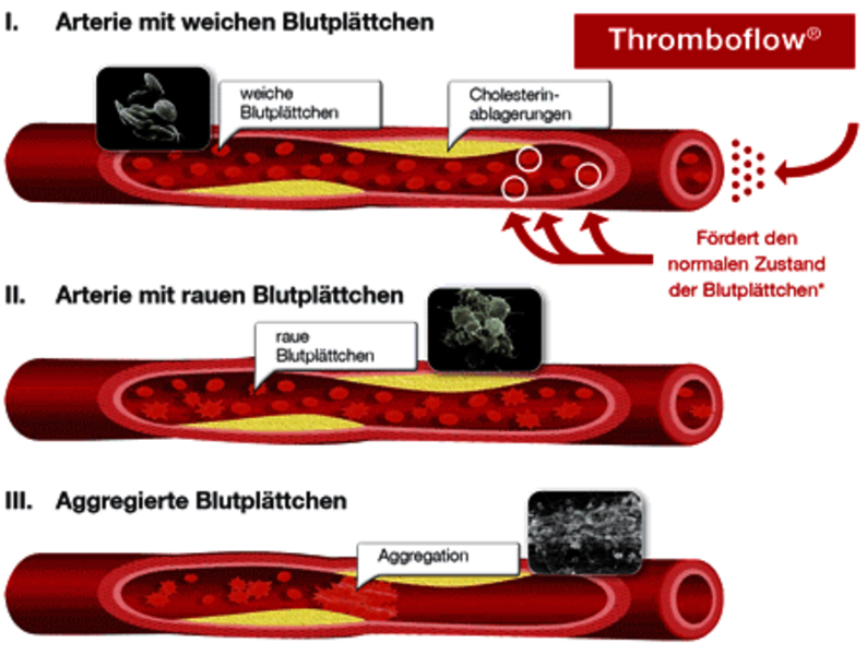 Wirkweise Thromboflow® Dr. Wolz