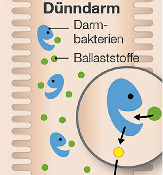 Curabiom flora