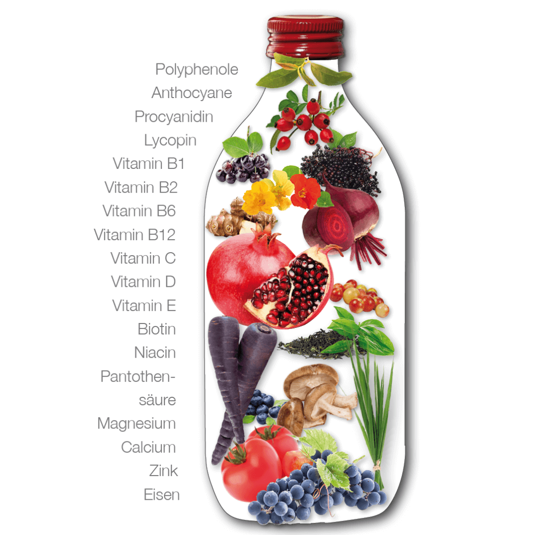 Zusammensetzung Vitalkomplex Dr. Wolz