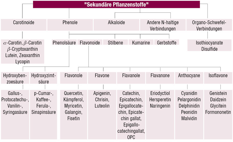 sekundaerePflanzenstoffe sekundaerePflanzenstoffe