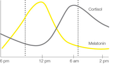 Ideal curves for cortisol and melatonin throughout the day.