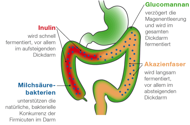 Probiocolon Wirkung