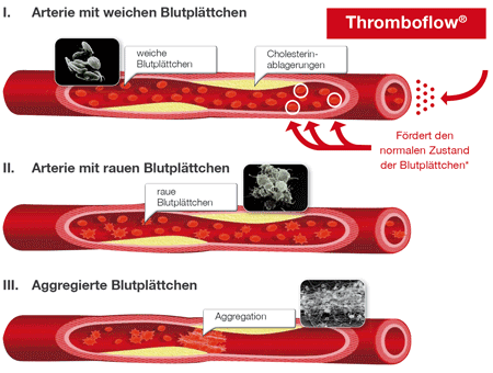 Wirkweise Thromboflow® Dr. Wolz