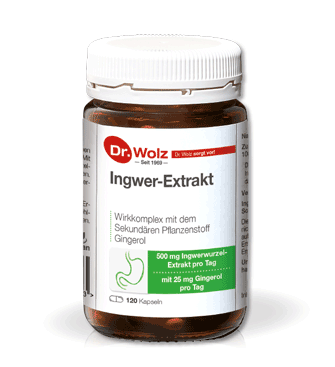 Ingwer-Extrakt Ingwer-Extrakt